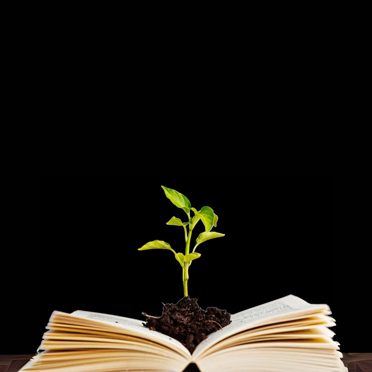 Self-Help Book - Image 1